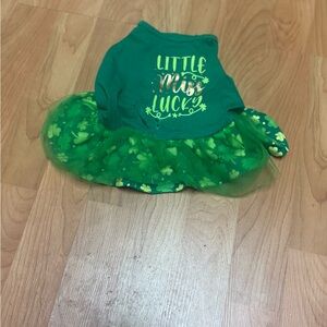 Green 'Little Miss Lucky's Dog dress